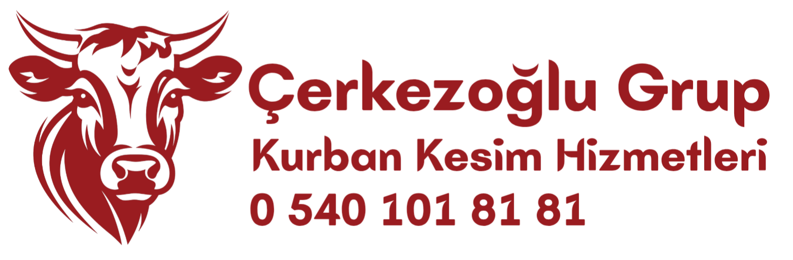Varsayılan Başlık